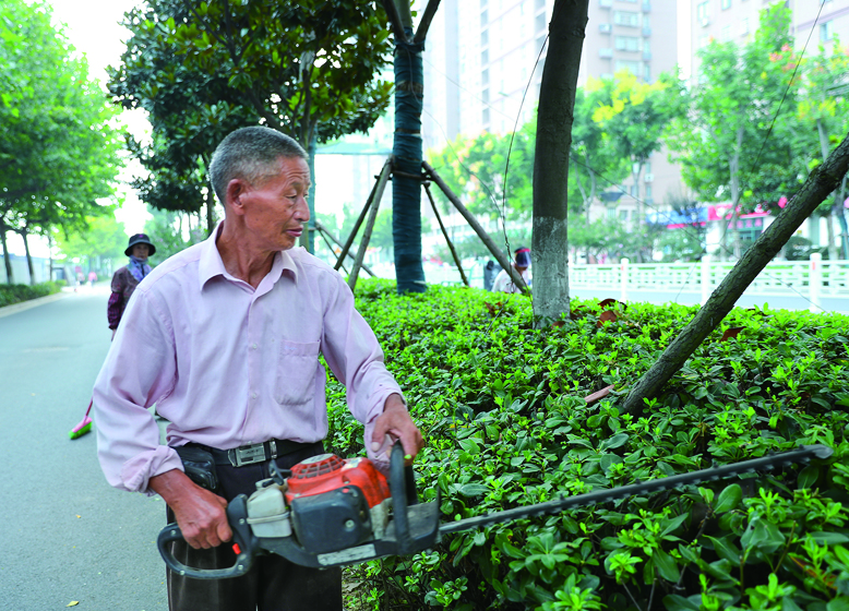縣城管局為省級文明城市創(chuàng)建工作貢獻(xiàn)力量