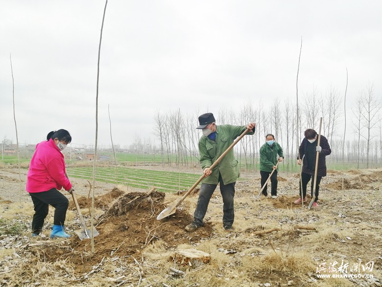 各鎮(zhèn)（區(qū)、街道）掀起植樹綠化熱潮